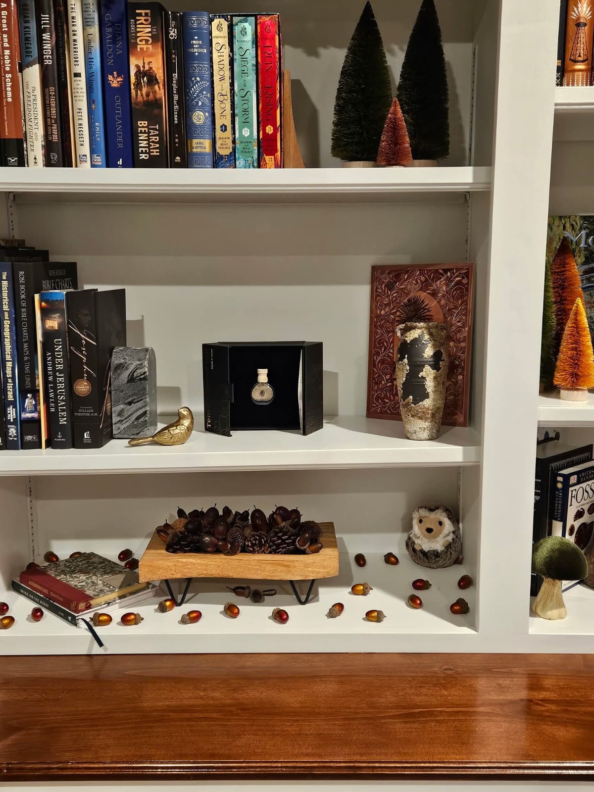 Temple Mount Soil display on bookshelf